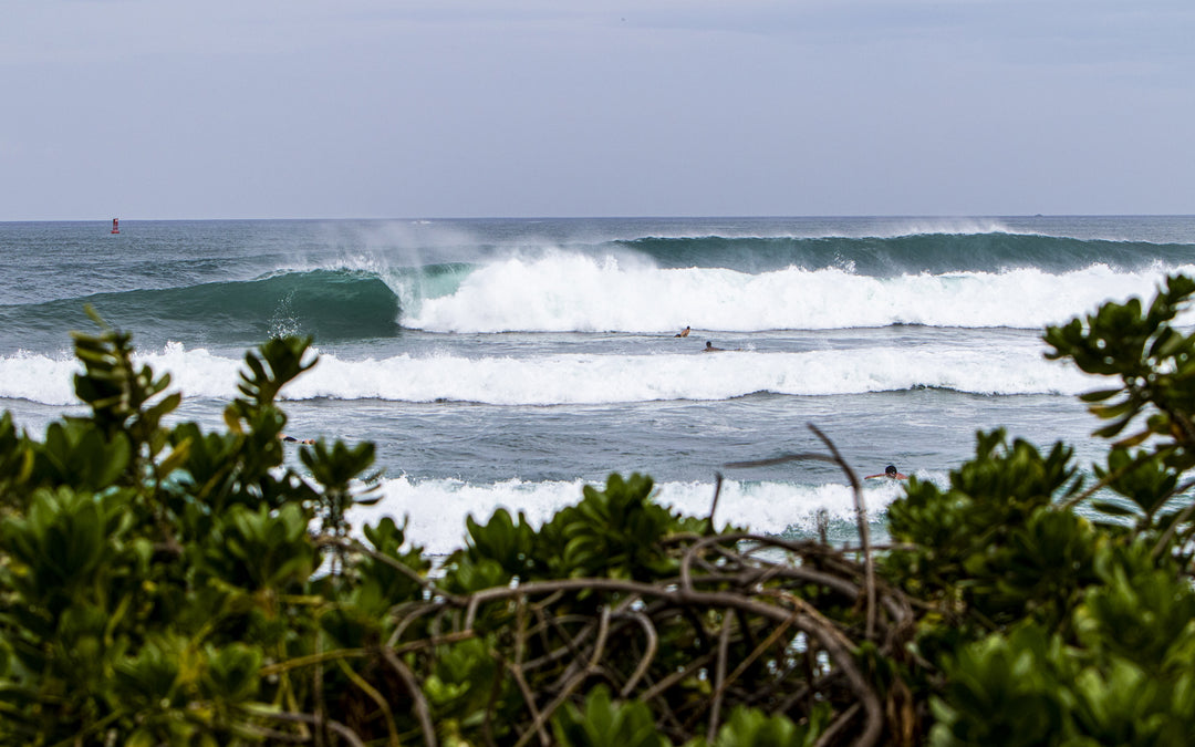 Spot Check: Haleiwa - T&C Surf Designs