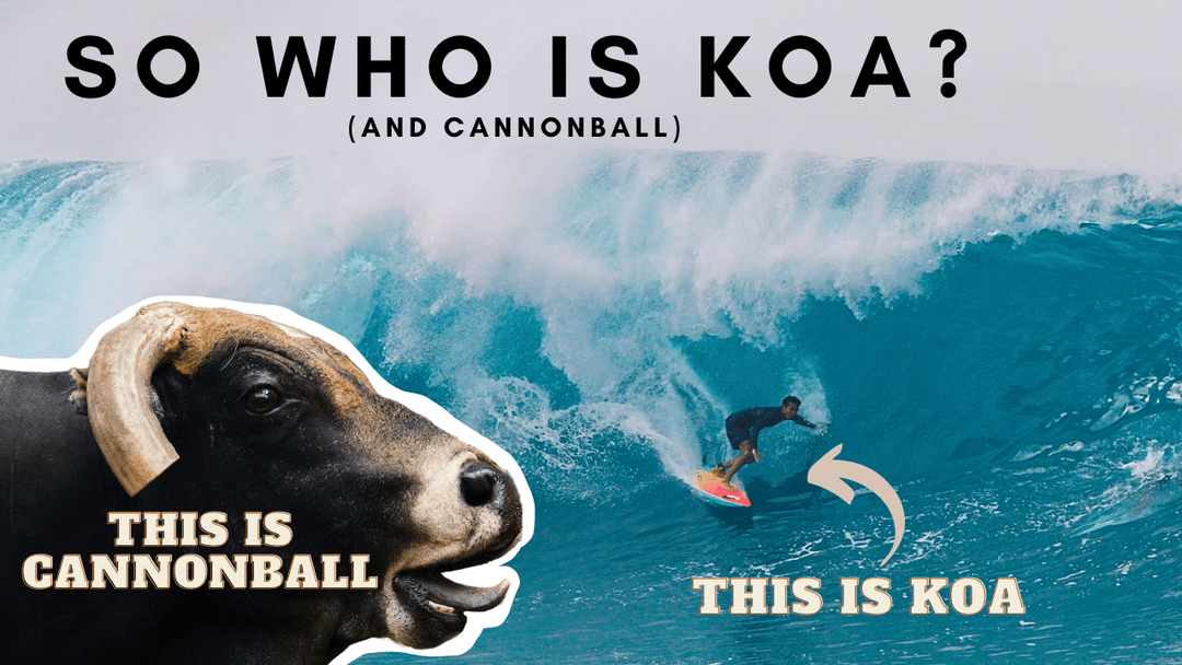 Who Is Koa? Profile Video. - T&C Surf Designs