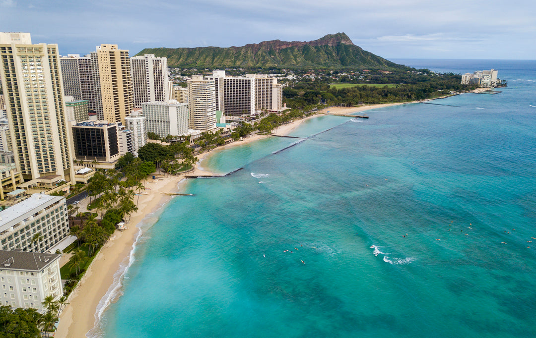 The Spouting Waters of O’ahu - T&C Surf Designs