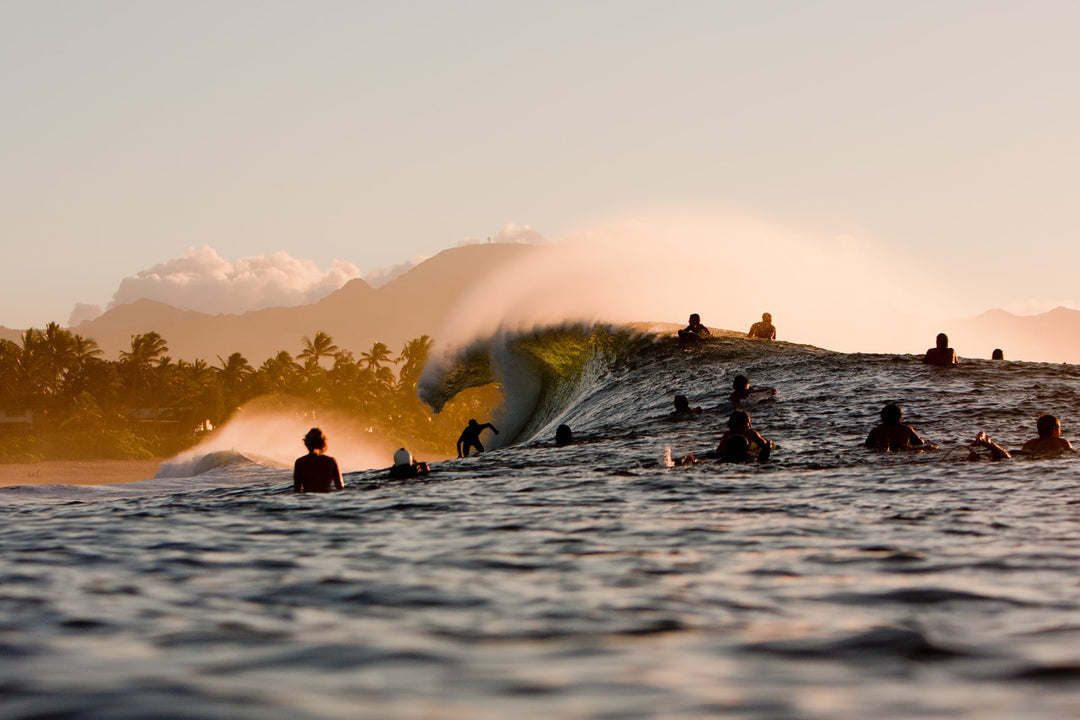 Spot Check: Pipeline - T&C Surf Designs