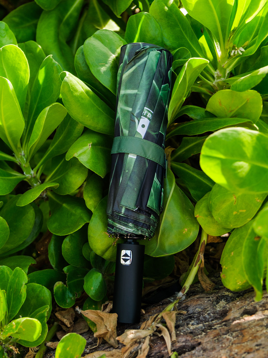T&C Surf Designs Kaneohe Kalo Umbrella,