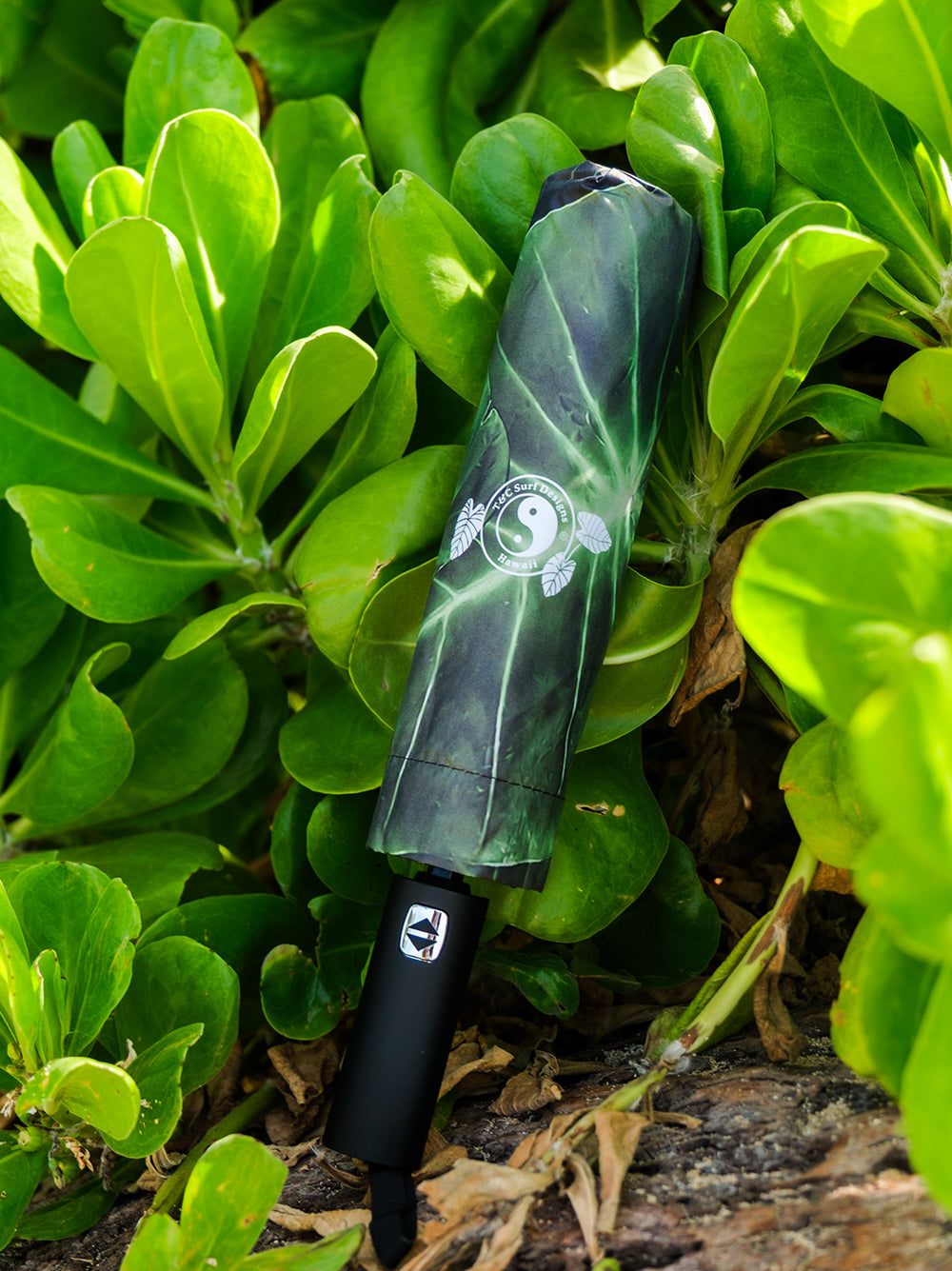 T&C Surf Designs Kaneohe Kalo Umbrella,