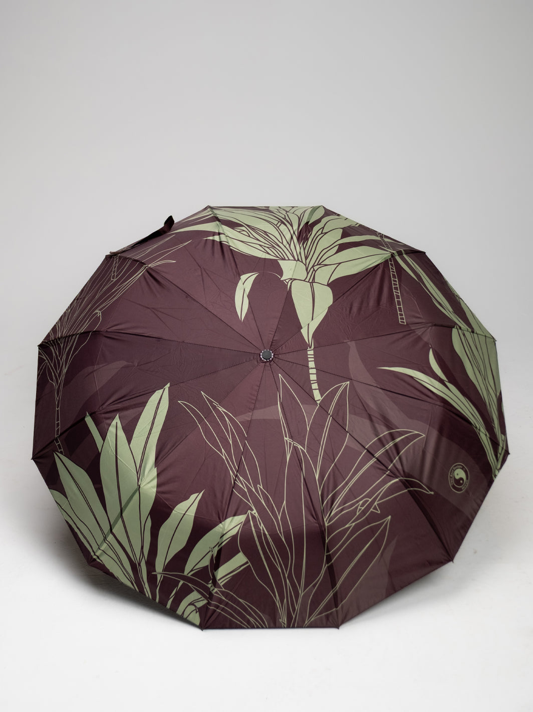 Ti Umbrella