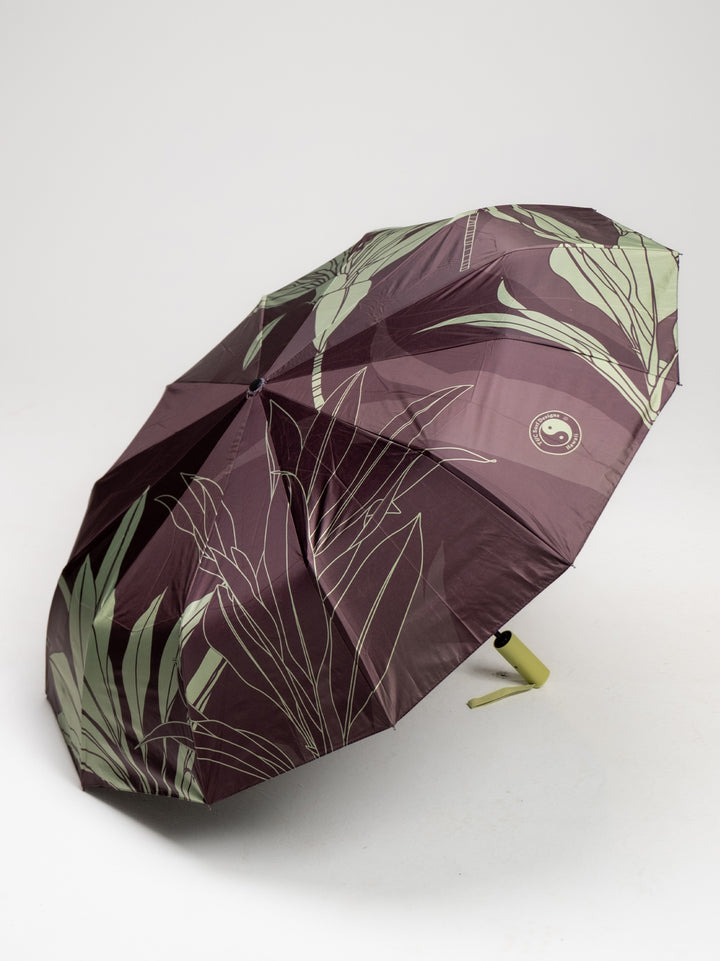 Ti Umbrella