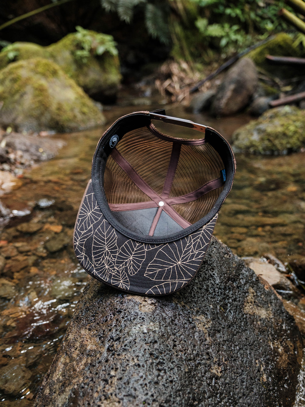 T&C Surf Designs Kalo Daze Cap,