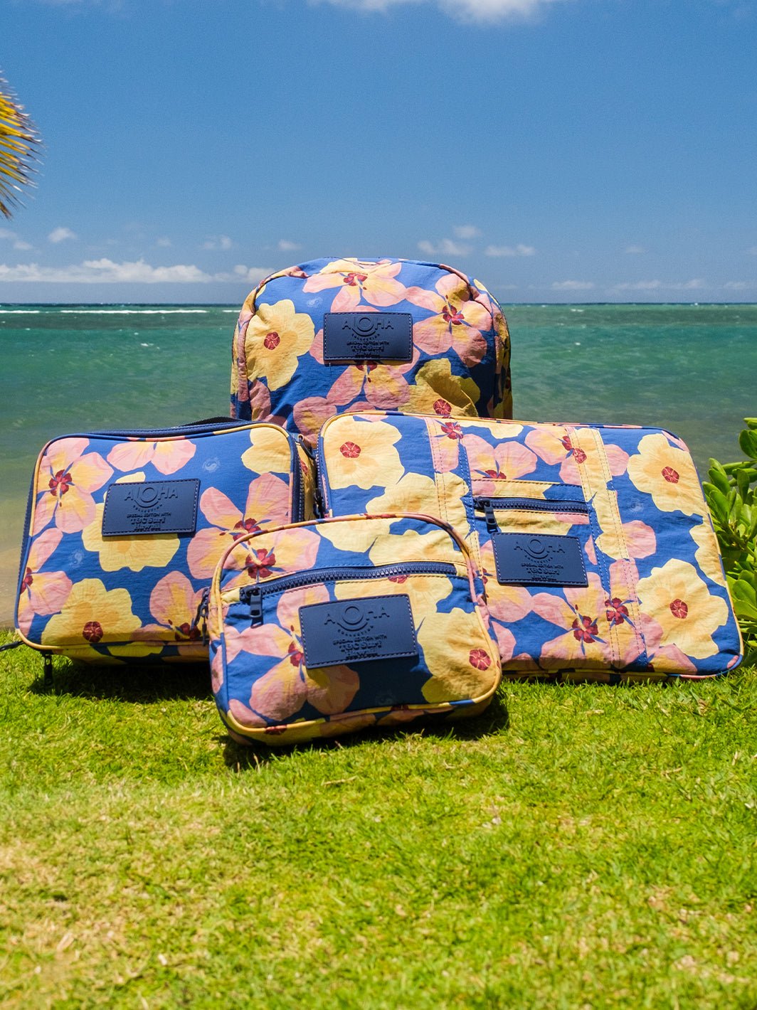 Aloha Collection Watercolor Hau Backpack – T&C Surf Designs