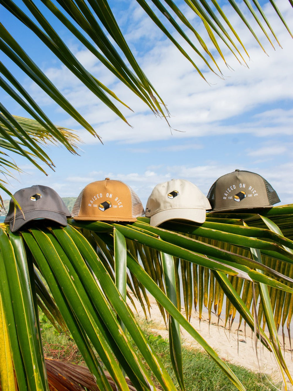 T&C Surf Designs Musubi Me Dad Cap,