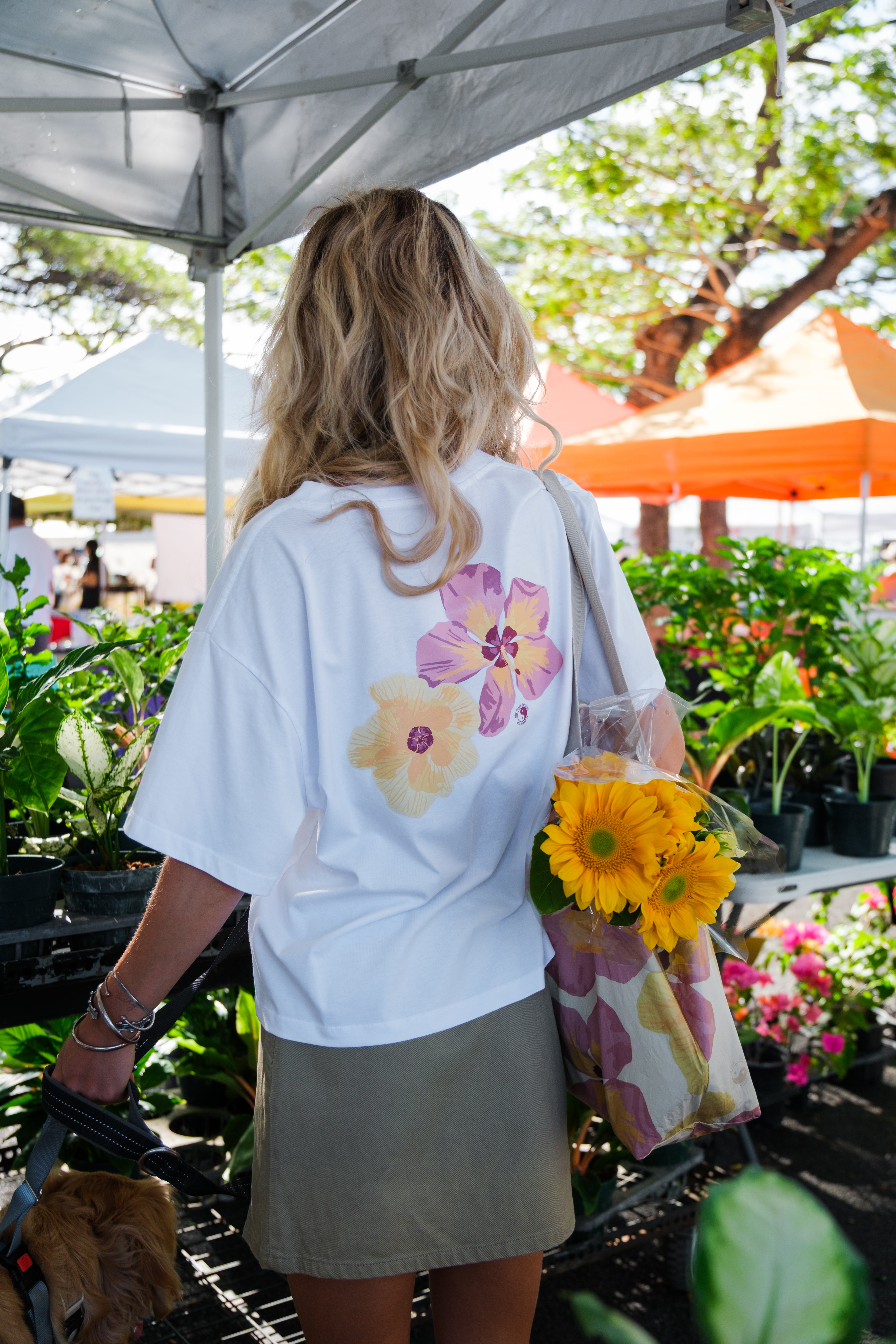 T&C Surf | Shop Online – T&C Surf Designs