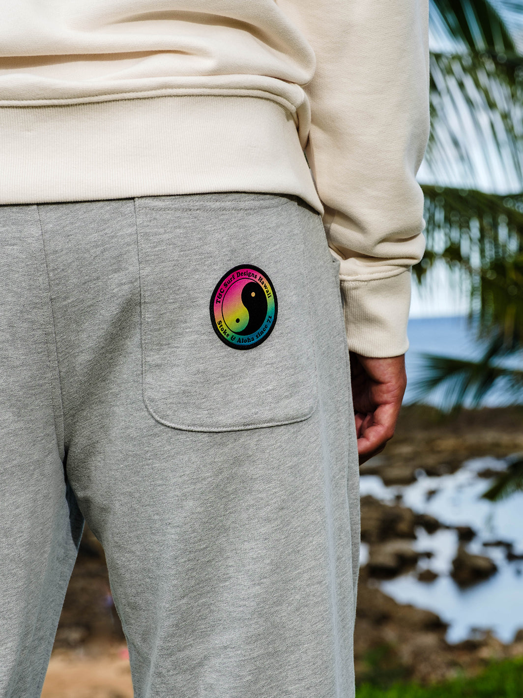 T&C Surf Designs Europe Sweat Pant,