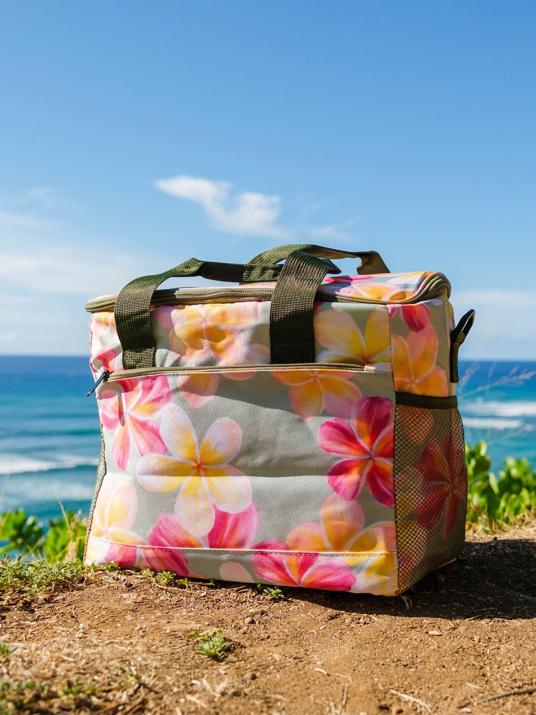 T&C Surf Designs T&C Surf Plumeria Paint Cooler, 