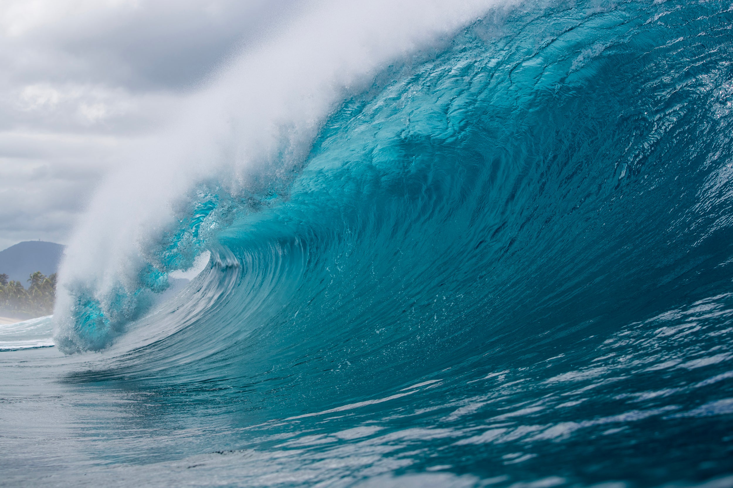 In-Store Promotions – T&C Surf Designs