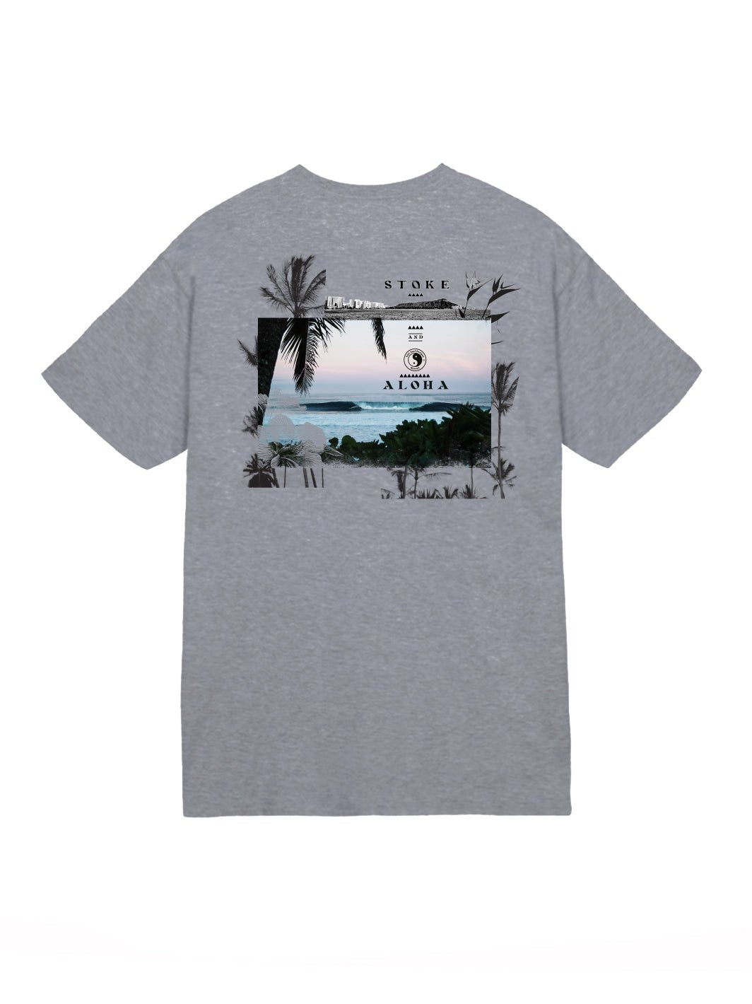 T&C Surf Designs Life Jersey Tee, Graphite / S