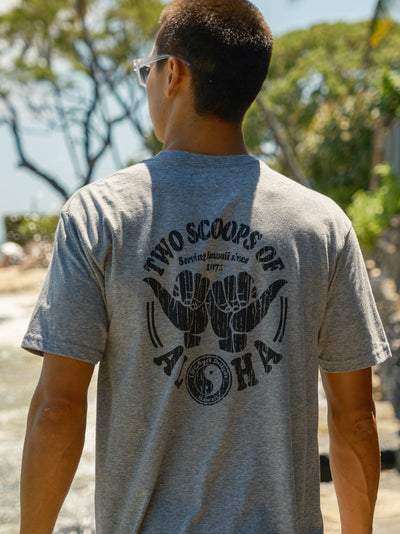 T&C Surf Designs T&C Surf Two Scoop Jersey Tee, 