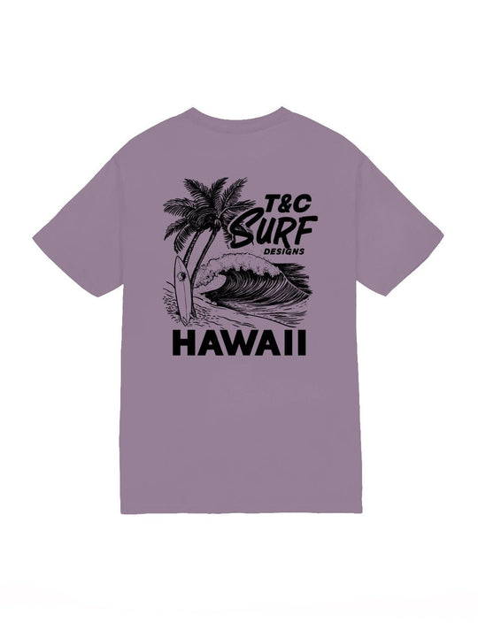 T&C Surf Designs Shorebreak Jersey Tee, Paragon / S