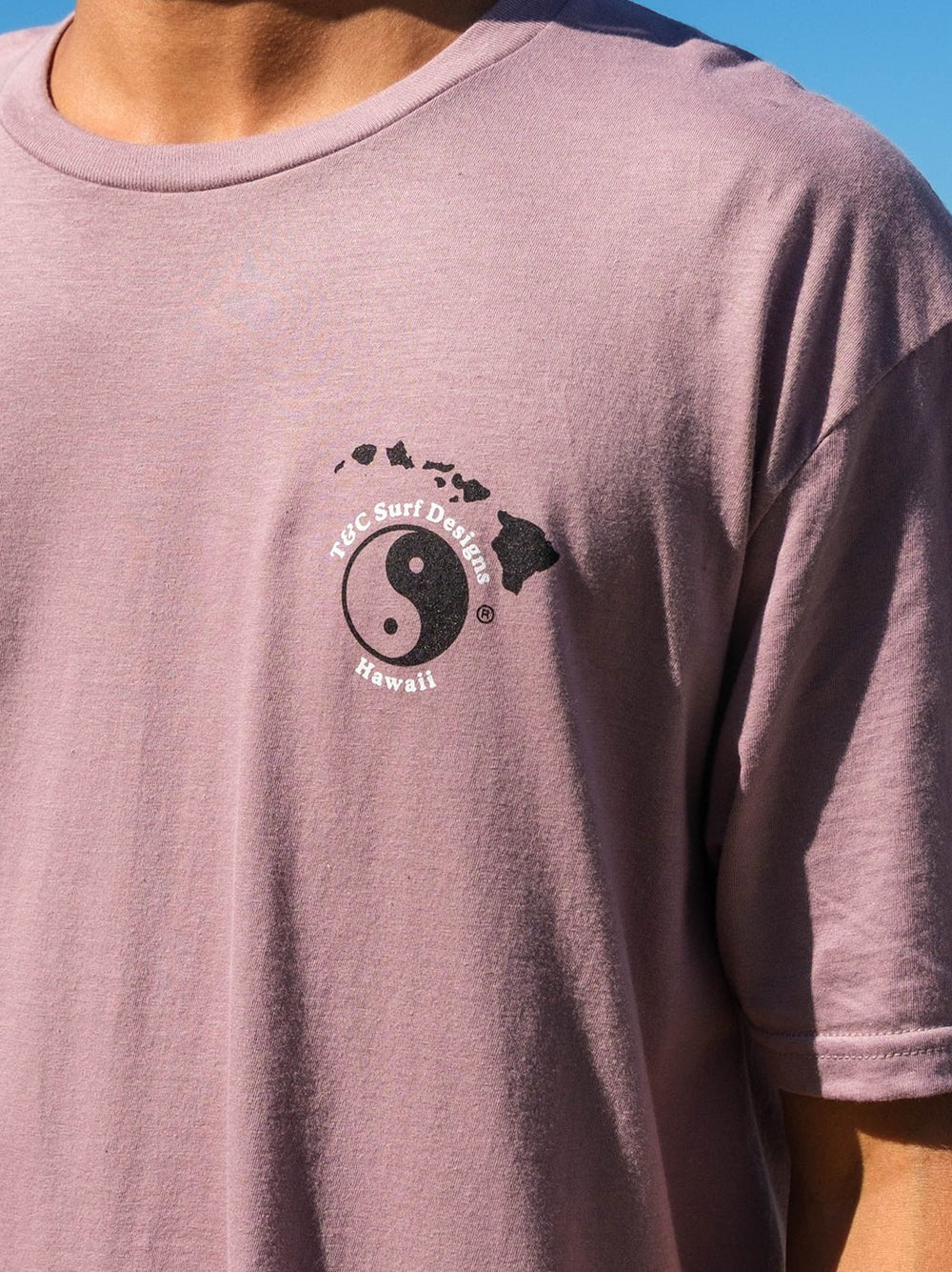 Hawaiian Company Jersey Tee - T&C Surf Designs