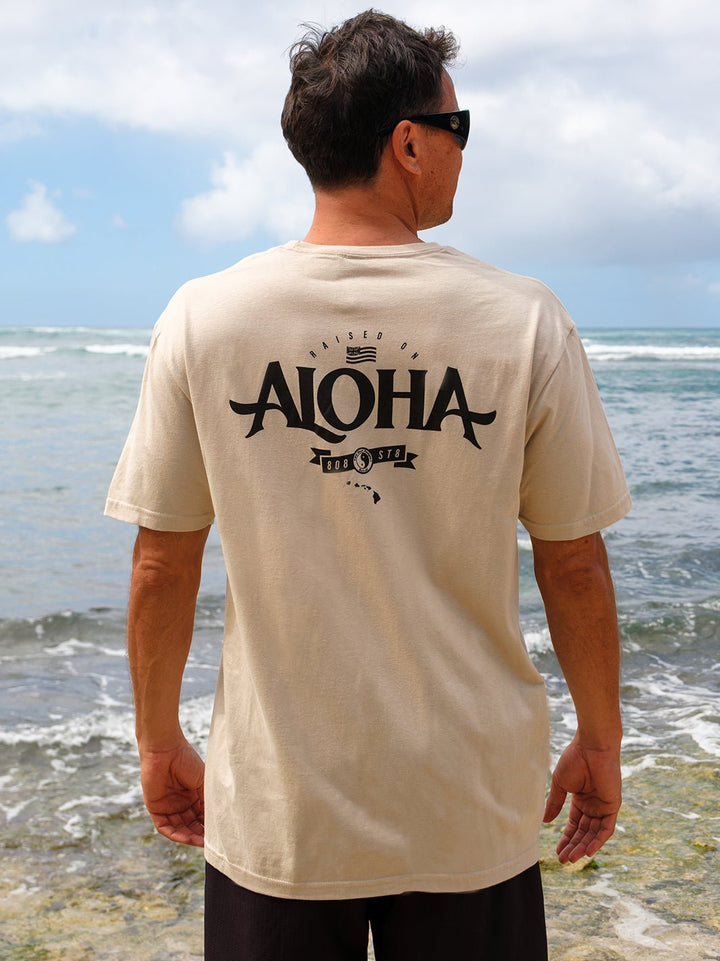 Aloha Bannered Jersey Tee - T&C Surf Designs