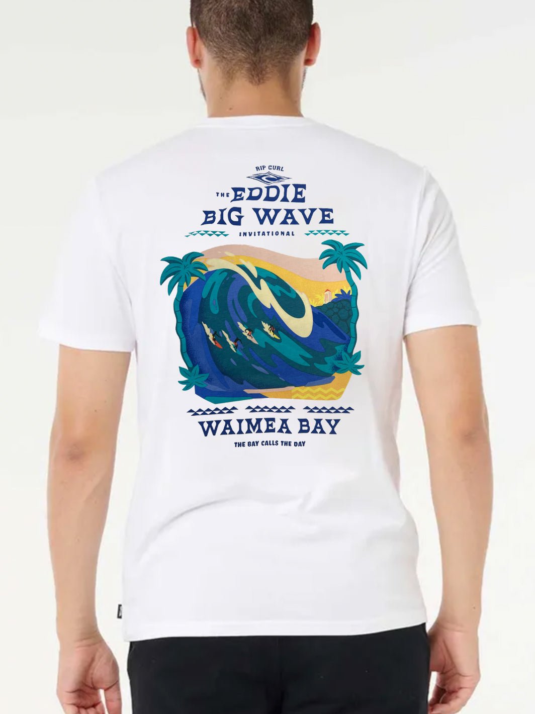 Eddie Collection – T&C Surf Designs