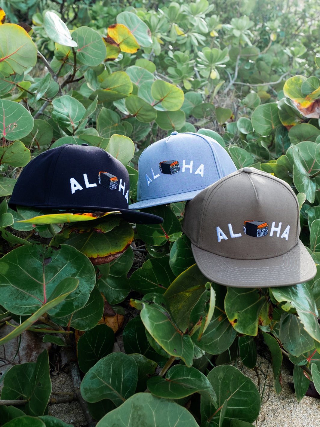 T&C Surf Designs Aloha Grind Cap,