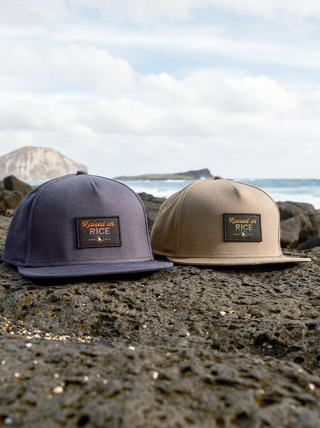 T&C Surf Designs T&C Surf Raised on Rice Cap, 